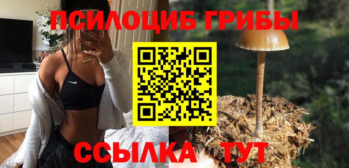 Галлюциногенные грибы мицелий Великие Луки